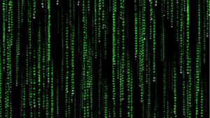 Green digital code falling in vertical streams against a black background. — Matrix Code Wallpaper