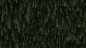 Green digital code falling like rain on a black screen. — Matrix Code Wallpaper