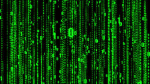 Green binary digits falling like rain against a black background. — Matrix Code Wallpaper
