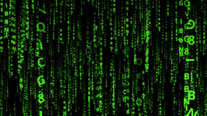 Green digital code falling like rain on a black screen. — Matrix Code Wallpaper
