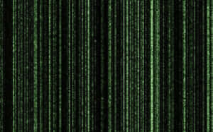 Green digital code falling like rain against a black background. — Matrix Code Wallpaper