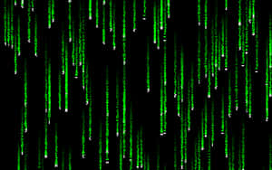 Green digital code falling like rain on a black screen. — Matrix Code Wallpaper