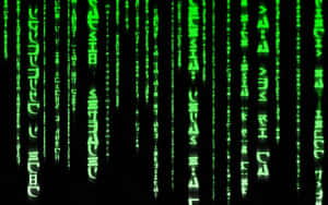 Green digital code falling down a black screen like in the Matrix movie. — Matrix Code Wallpaper