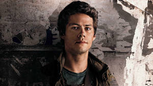 Maze Runner Thomas wallpaper
