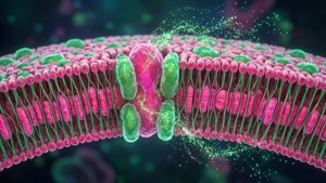 Abstract 3D-celmembraan met fosfolipide dubbellaag en eiwitten