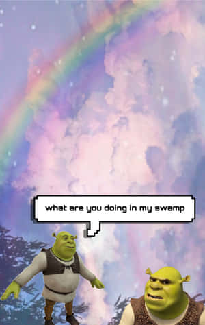 Two Shrek characters under a rainbow with a speech bubble asking what you're doing in my swamp. — Meme iPhone Picture