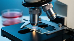 Un gros plan d'un microscope dans un laboratoire, mettant l'accent sur la recherche scientifique et la microbiologie.