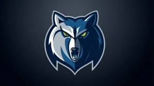 Clean minimalist Timberwolves logo on dark gradient