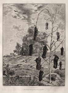 Moles by Félix Bracquemond, created 1854, printed 1866, in etching. Download this artwork as a high-resolution wallpaper for desktop, tablet, or mobile. — Félix Bracquemond Wallpaper