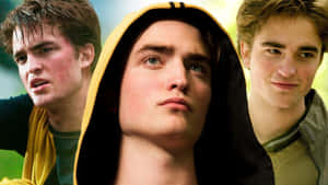 Momen Cedric Diggory