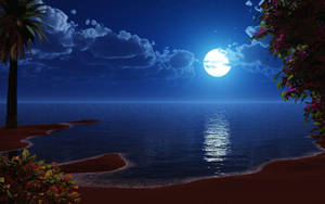 Moonlit beach with palm trees and flowering bushes under a starry sky. — Pastel Moon Picture