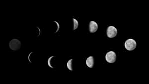 Eine Serie von Mondphasen von Neumond bis Vollmond in Schwarz-Weiß. — Moonset Wallpaper