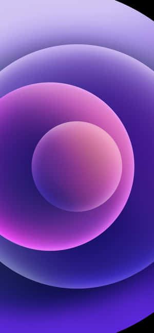 Esferas brilhantes aninhadas em gradiente roxo rosa e azul — Filmes Foto Papéis de Parede