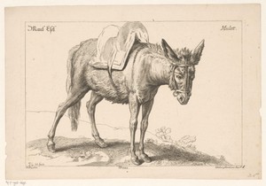 Muilezel by Johann Georg Hertel (I), created 1705 - 1775, in paper; etching; engraving. Download this artwork as a high-resolution wallpaper for desktop, tablet — Johann Georg Hertel (I) Wallpaper