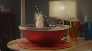 A narwhal and bird drinking from a red bowl on a wooden table with colorful glasses nearby. — Narwhal Background