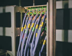 Blaue Netzwerkkabel mit Etiketten, die an einen Server-Rack in einem Rechenzentrum angeschlossen sind. — Server Wallpaper