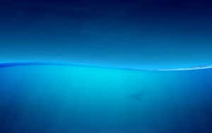 Unterwasseransicht mit Haisilhouette, die unter der Meeresoberfläche schwimmt. — Ocean Blue Bilder