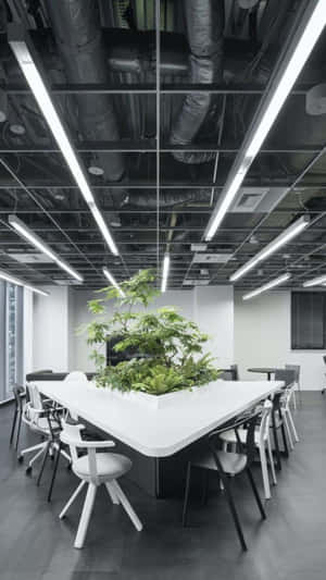 Oficina minimalista con conductos expuestos y mesa central llena de plantas. — Fondo de Oficina Fondos