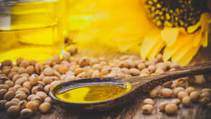 Wooden spoon with sunflower oil and seeds beside a sunflower on a wooden surface. — Engine Oil Wallpaper
