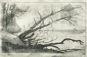 Old Sycamore by Otto H. Bacher, created 1877, in etching. Download this artwork as a high-resolution wallpaper for desktop, tablet, or mobile. — Otto H. Bacher Wallpaper