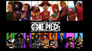 One Piece anime-karaktärer i två rader med färgglada bakgrunder och central dödskallologga — Yamato One Piece Bakgrundsbilder