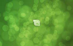 Fondo bokeh verde con logotipo blanco en el centro — Verde menta Fondos de pantalla