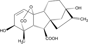 Solid black background with no visible elements. — Acid PNG