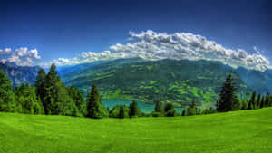 Lush green meadow overlooks a calm lake surrounded by forested mountains under a clear blue sky. — Grass Background