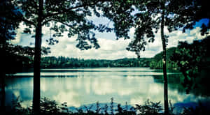 Un lago tranquillo visto attraverso i rami degli alberi con nuvole riflesse sull'acqua. — Outdoor Sfondi