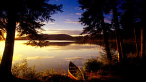 Canoa sul lago al tramonto dorato incorniciata da alberi — Outdoor Sfondi