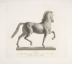 Paard by Domenico Marchetti, created 1790 - 1844, in paper; engraving. Download this artwork as a high-resolution wallpaper for desktop, tablet, or mobile. — Domenico Marchetti Wallpaper