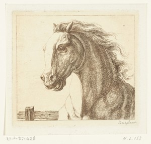 Paardenhoofd by Ernst Willem Jan Bagelaar, created 1798 - 1837, in paper; etching. Download this artwork as a high-resolution wallpaper for desktop, tablet, or — Ernst Willem Jan Bagelaar Wallpaper