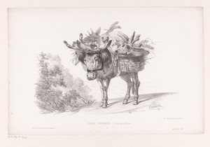 Pakezel met dode herten op zijn rug by Martinus Antonius Kuytenbrouwer jr., created in or before 1860, in paper; lithography. Download this artwork as a high-re — Martinus Antonius Kuytenbrouwer jr. Wallpaper