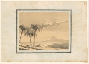 Palm by John Robert Cozens, created 1789, in paper; soft-ground etching; aquatint. Download this artwork as a high-resolution wallpaper for desktop, tablet, or — John Robert Cozens Wallpaper