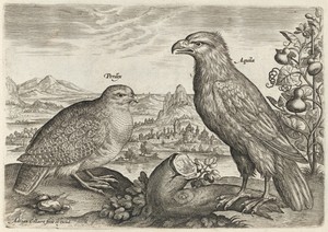 Partridge and Eagle by Adriaen Collaert, created c. 1600, in engraving on laid paper. Download this artwork as a high-resolution wallpaper for desktop, tablet, — Adriaen Collaert Wallpaper