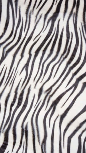 Papel de parede de pelo sintético felpudo com padrão de listras de zebra em preto e branco. — Estampa animal Papéis de Parede