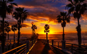 Sunset over ocean with palm trees and lit boardwalk — Full Screen Desktop Background