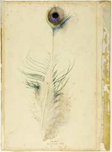 Peacock Feather by John Ruskin, created 1877, in Watercolor, over traces of graphite, on buff wove card. Download this artwork as a high-resolution wallpaper fo — Illustration Wallpaper