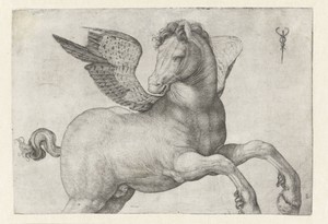 Pegasus by Jacopo de' Barbari, created 1509 - 1516, in paper; engraving. Download this artwork as a high-resolution wallpaper for desktop, tablet, or mobile. — Art Picture