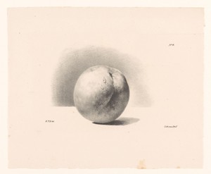 Perzik by Elise Therèse Daiwaille, created 1824 - 1881, in paper; lithography. Download this artwork as a high-resolution wallpaper for desktop, tablet, or mobi — Elise Therèse Daiwaille Wallpaper