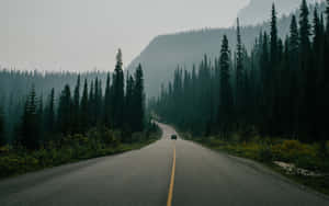 A car travels along a forest road surrounded by tall pine trees and misty mountains. — Road Wallpaper