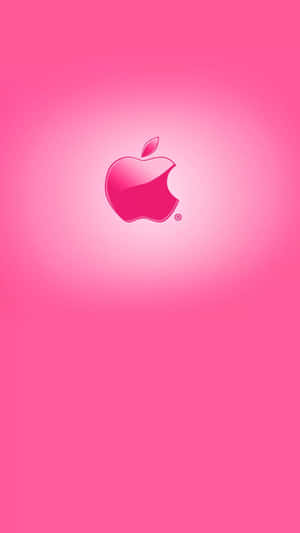 Blank rosa Apple-logotyp på gradient rosa bakgrund — Rosa Solid bakgrund Bakgrunder