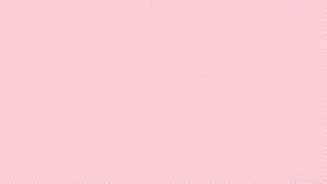 Rosa tapet med diagonalt prickmönster textur — Rosa Solid bakgrund Bakgrunder
