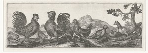 Pluimvee by Simon Frisius, created 1610, in paper; etching; engraving. Download this artwork as a high-resolution wallpaper for desktop, tablet, or mobile. — Simon Frisius Wallpaper