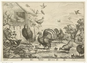 Pluimvee by Jan Griffier (I), created 1655 - 1718, in paper; etching; engraving. Download this artwork as a high-resolution wallpaper for desktop, tablet, or mo