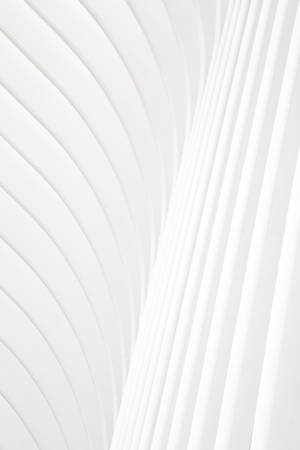 Lignes courbes et droites abstraites blanches formant un motif géométrique minimaliste.