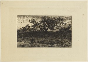 Print by Charles Emile Jacque, created 1813–1894, in Etching on laid paper. Download this artwork as a high-resolution wallpaper for desktop, tablet, or mobile. — Charles Emile Jacque Wallpaper