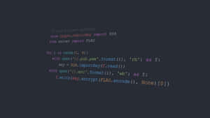 Syntax-highlighted Python code for RSA encryption of a secret flag on dark background — Programming Picture