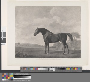 Protector by George Townley Stubbs, in Stipple engraving with etching, first state on medium, slightly textured, cream wove paper. Download this artwork as a hi — George Townley Stubbs Wallpaper