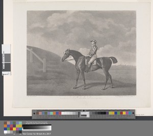 Pumpkin by George Townley Stubbs, in Stipple engraving with etching, first state on medium, slightly textured, cream wove paper. Download this artwork as a high — George Townley Stubbs Wallpaper